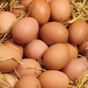 chickens and eggs for sale in spain