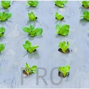 Transparent Plastic Agriculture Work G600 - 1/4 - 4x100 Meters